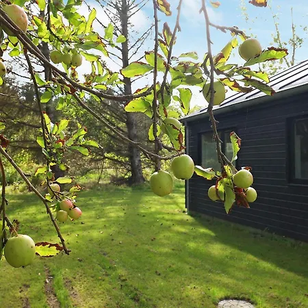 Three-bedroom In Hjorring 6 *